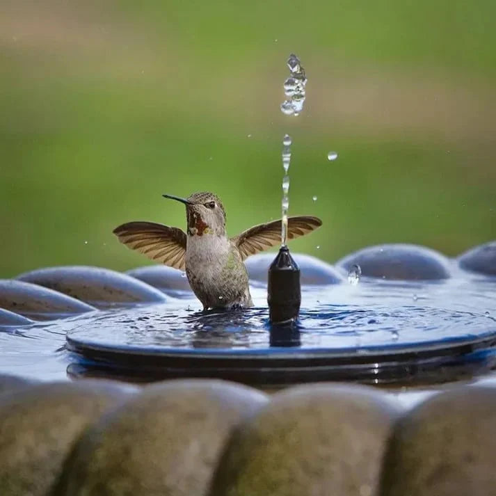 Solar Powered Bird Bath Fountain Pump