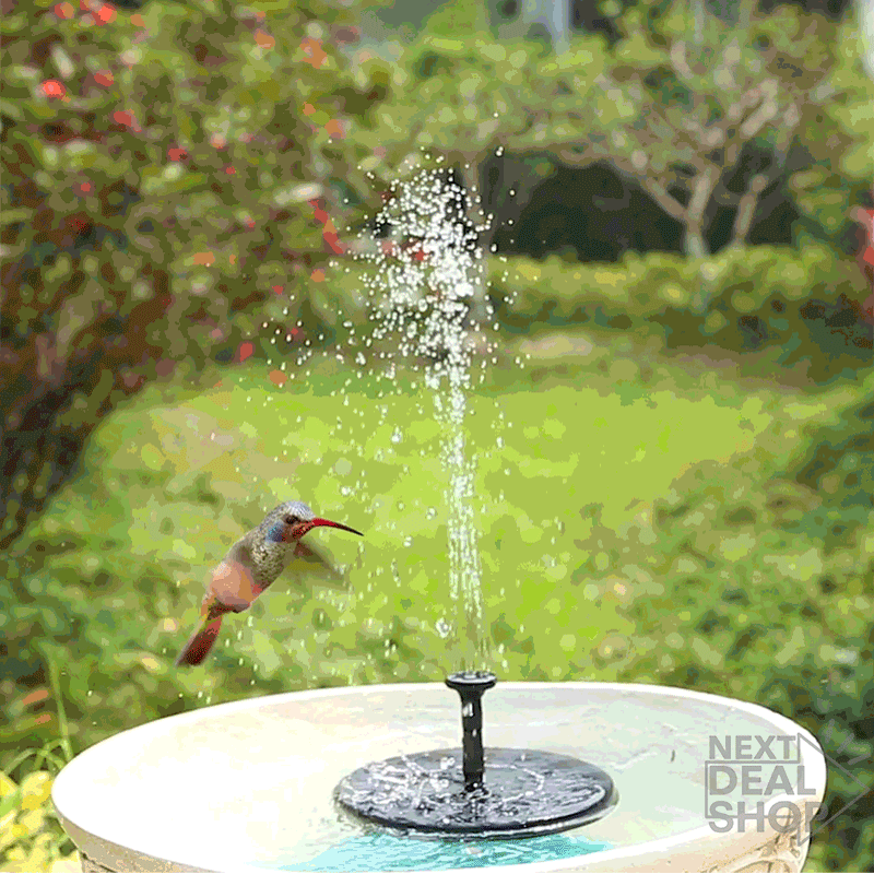 Solar Fountain Bird